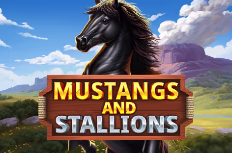 Mustangs and Stallions